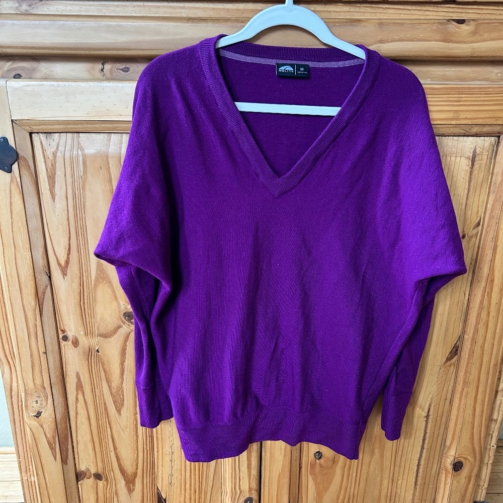 GoLite Sweater 100% Merino Wool Purple‎ V Neck Soft Women's Medium